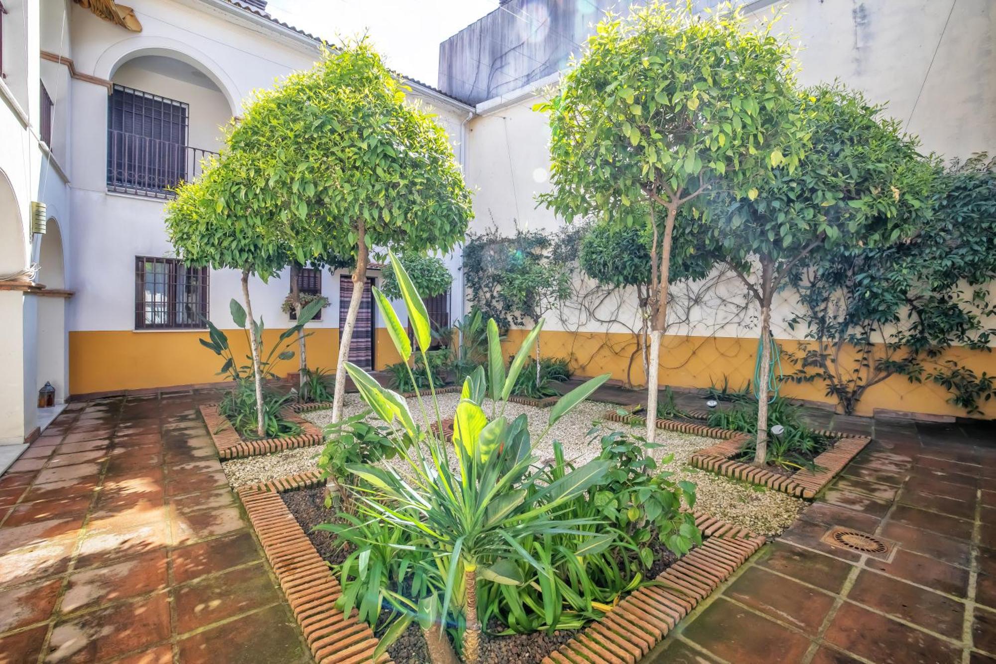 El Rincon De La Chiquita & Parking Daire Cordoba Dış mekan fotoğraf